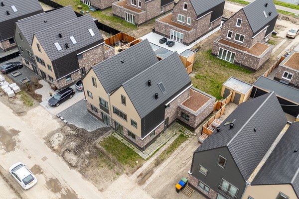 61-Moerasorchidee 13 - Lelystad.jpg